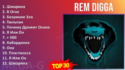 Rem Digga 2024 MIX плейлист — Шмарина, В Огне, Безумное Зло, Тюльпан