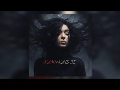 всегдамечтал — камикадзе (Reglade remix) | Премьера трека 2024